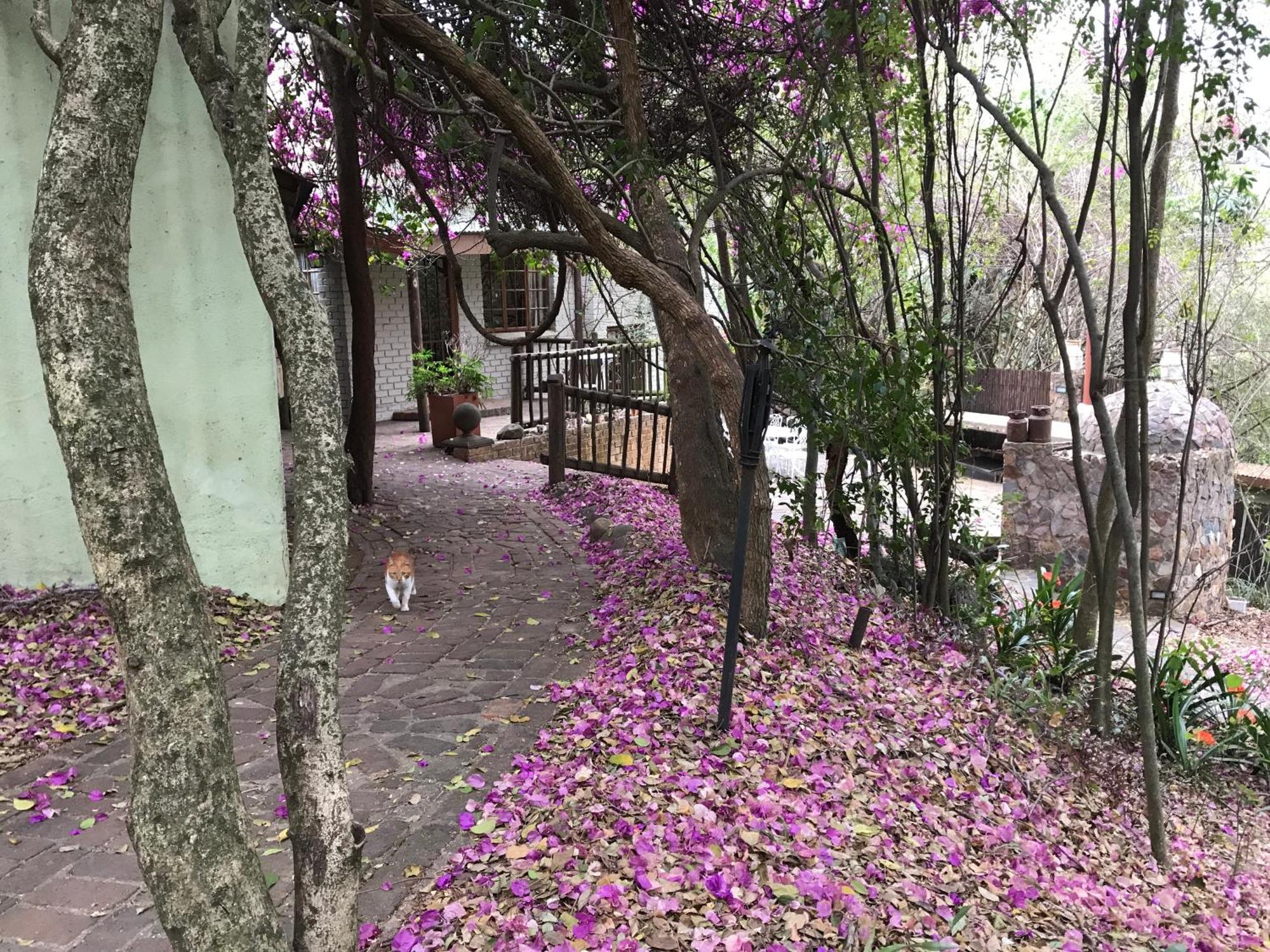 Hotel Old Joe'S Kaia Shoemanskloof Exterior foto